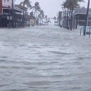 Meet your Posher, Fred